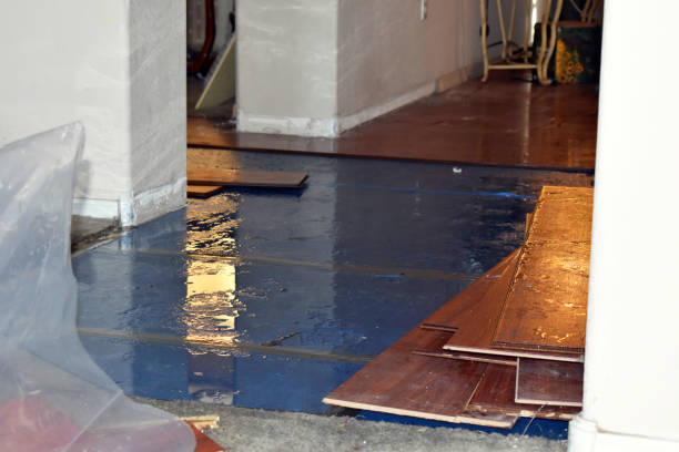 Professional Water Damage Restoration technician working in Bancroft, MI